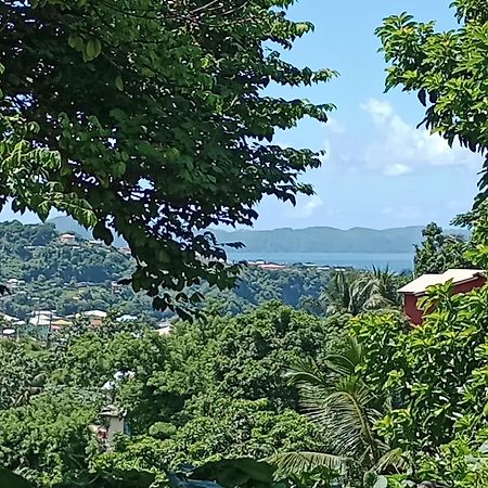 Garifuna Retreat Apartment Kingstown Bagian luar foto