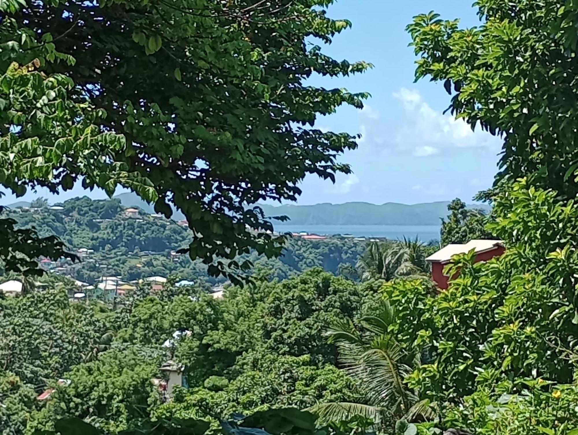 Garifuna Retreat Apartment Kingstown Bagian luar foto