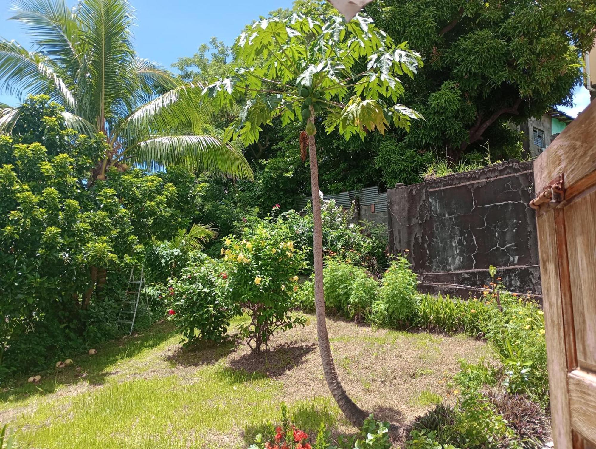 Garifuna Retreat Apartment Kingstown Bagian luar foto